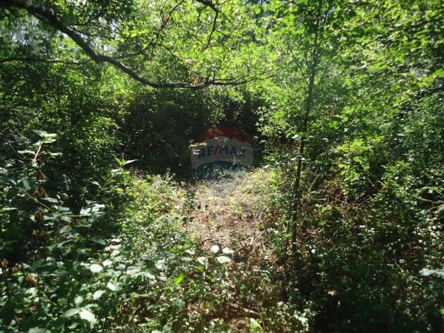 Land For sale - Primorsko-goranska Matulji - foto 3/8
