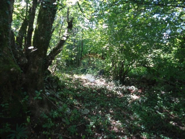 Land For sale - Primorsko-goranska Matulji - foto 4/8