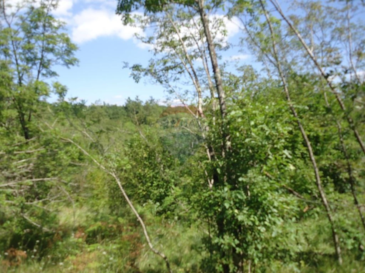 Parcela Naprodaj - PRIMORSKO-GORANSKA  Matulji