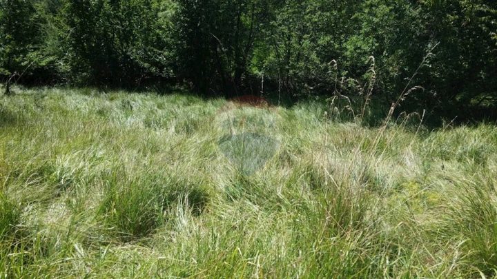 Land For sale - Primorsko-goranska Matulji - foto 4/6