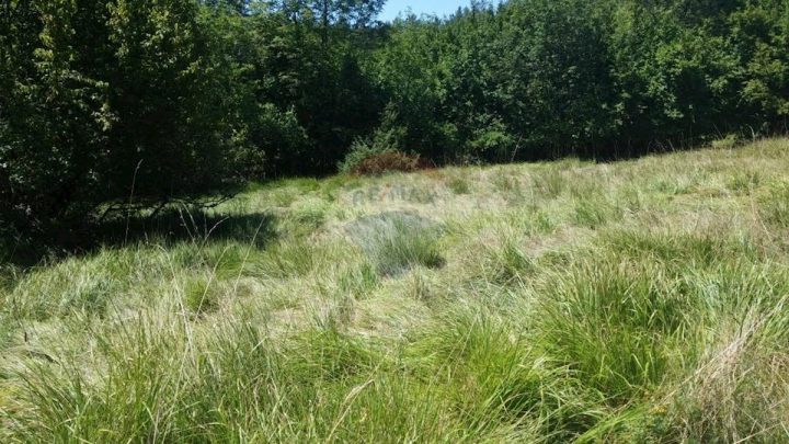 Land For sale - Primorsko-goranska Matulji - foto 5/6