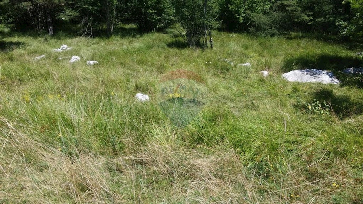 Land For sale - PRIMORSKO-GORANSKA  Matulji