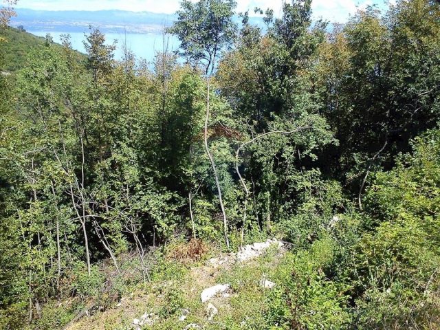 Zemljište Na prodaju - Primorsko-goranska Mošćenička Draga - foto 5/6