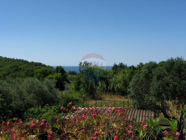 Pozemok na predaj 1961 m² – Premantura