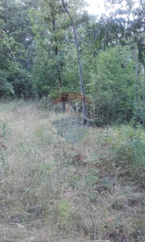 Terrain à vendre 7226 m² – Dobreć