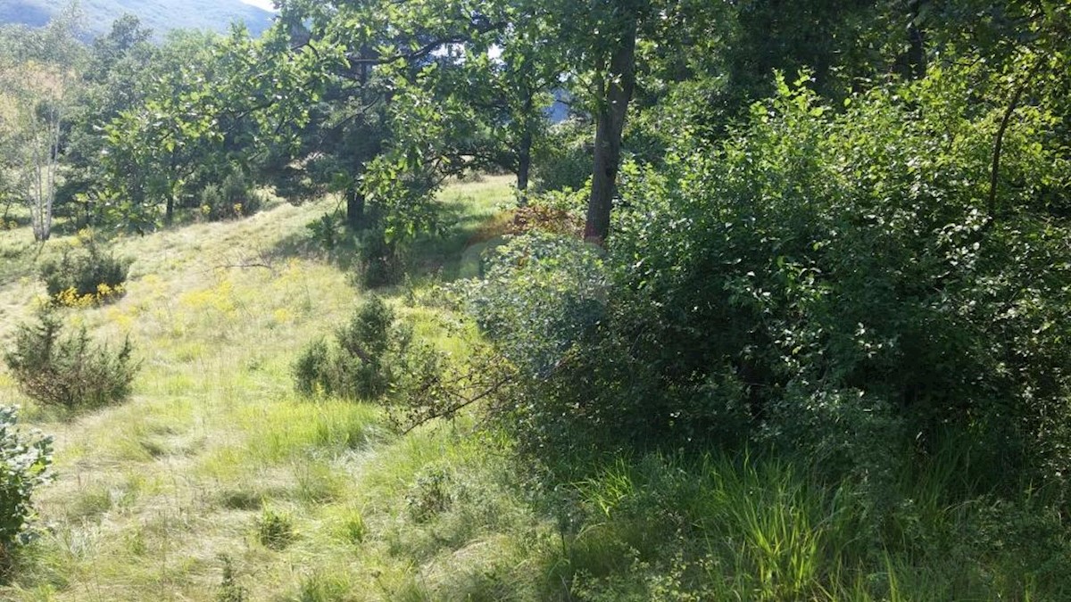 Terreno In vendita ŠAPJANE