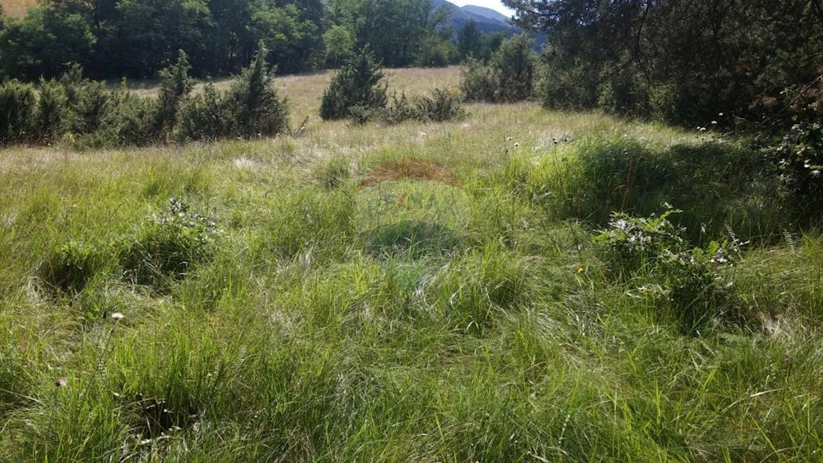 Land For sale - PRIMORSKO-GORANSKA  MATULJI 