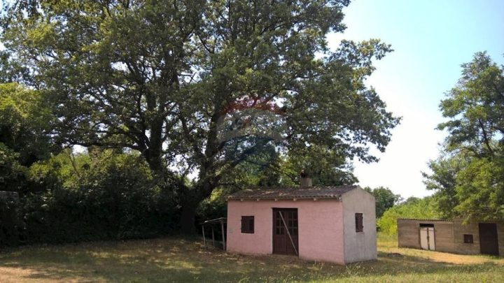 Dům Na prodej - Istarska Poreč - foto 3/10
