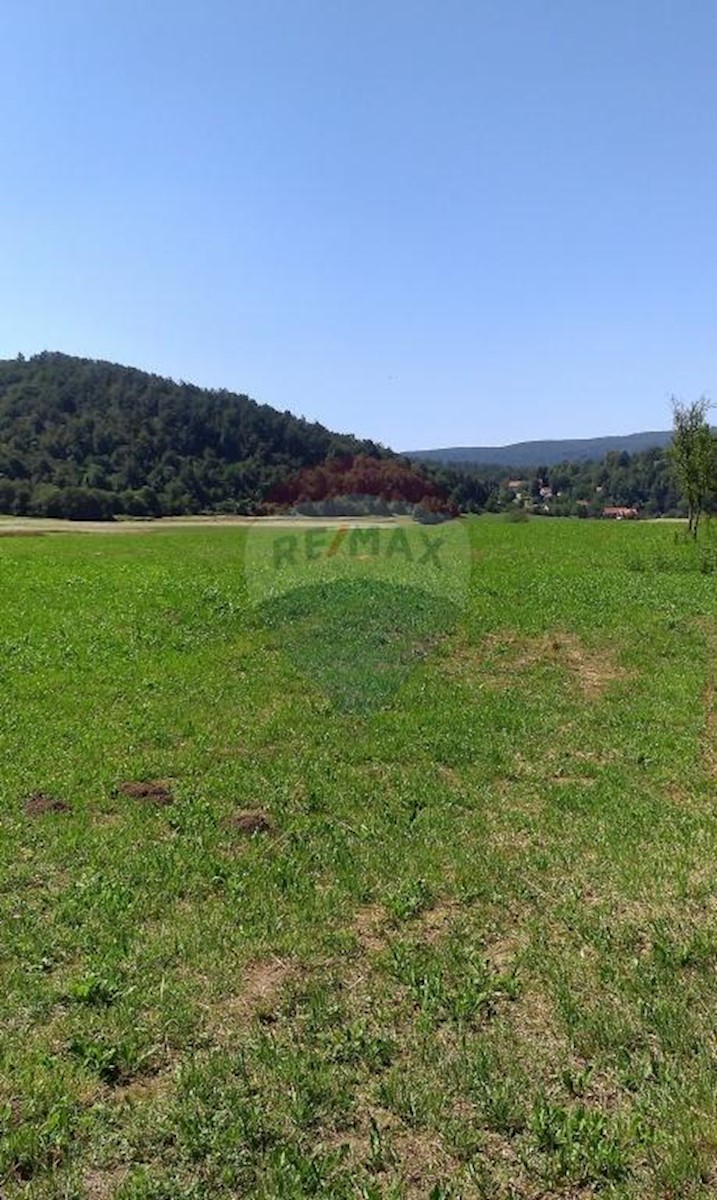 Land For sale - PRIMORSKO-GORANSKA  VRBOVSKO 