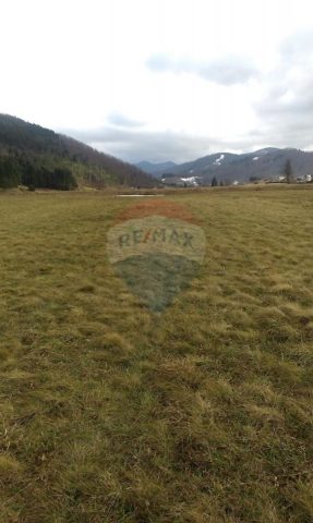Land for sale 3187 m² – Sunger