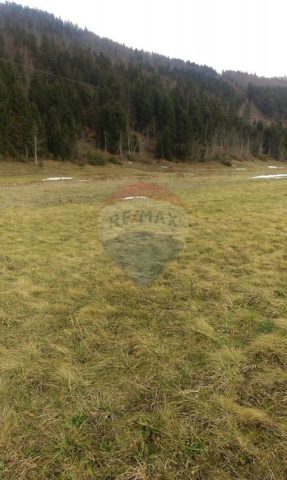 Land For sale - Primorsko-goranska Mrkopalj - foto 3/6