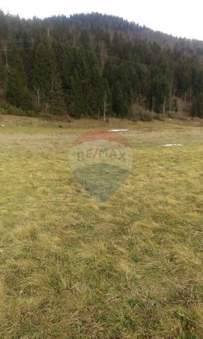 Land For sale - Primorsko-goranska Mrkopalj - foto 4/6