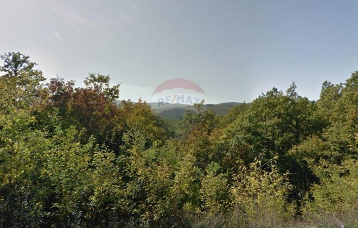 Działka na sprzedaż 2028 m² – Lipa
