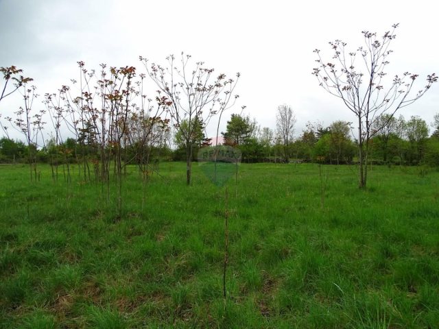 Terreno in vendita 3781 m² – Rupa