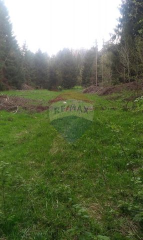 Land For sale DELNICE