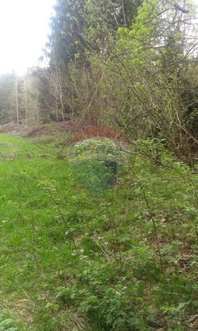 Land For sale - Primorsko-goranska Delnice - foto 2/6