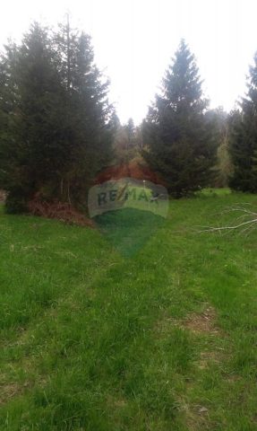 Land For sale - Primorsko-goranska Delnice - foto 5/6