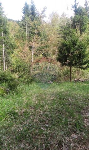 Terrain à vendre 7632 m² – Delnice