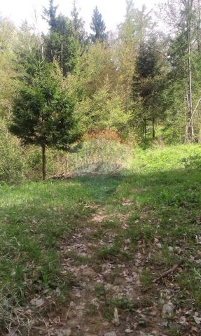 Land For sale - Primorsko-goranska Delnice - foto 2/5