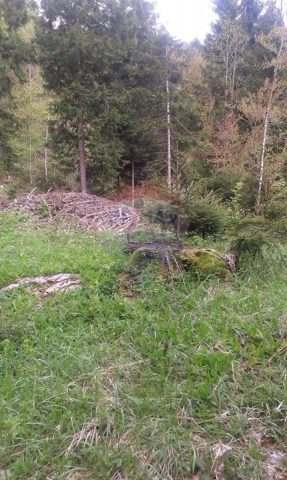 Land For sale - Primorsko-goranska Delnice - foto 5/5