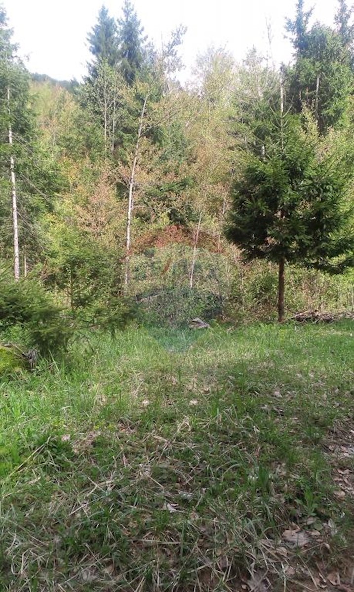 Land For sale - PRIMORSKO-GORANSKA  DELNICE 