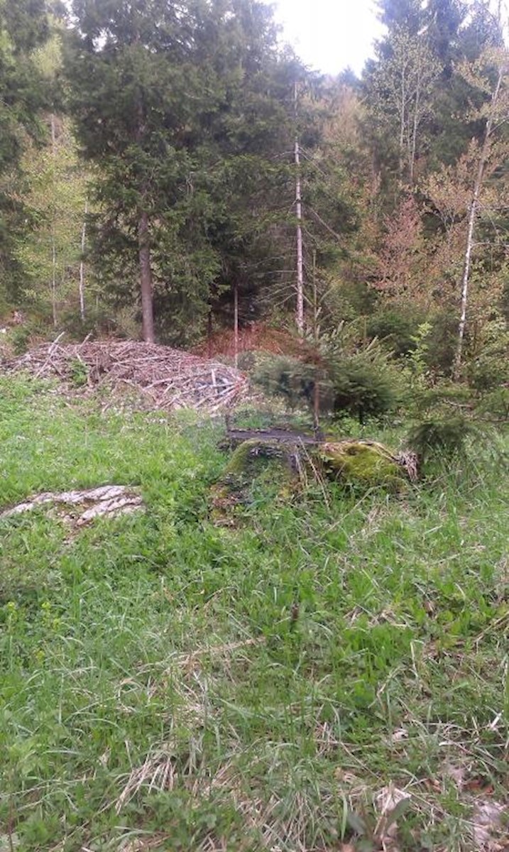 Land For sale - PRIMORSKO-GORANSKA  DELNICE 