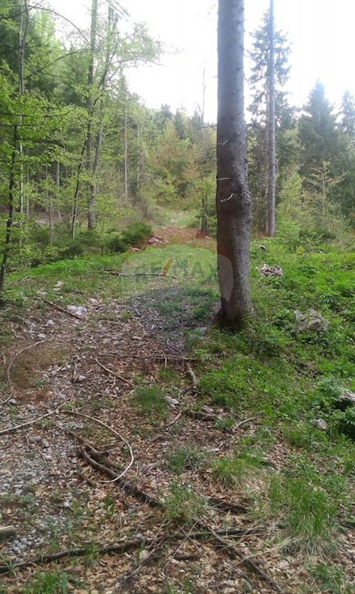 Parcela Naprodaj - PRIMORSKO-GORANSKA  Delnice