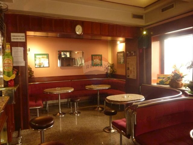 Locaux commerciaux À vendre - Karlovačka Josipdol - foto 2/17
