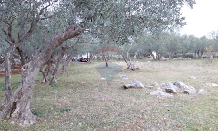 Land for sale 4600 m² – Brzac