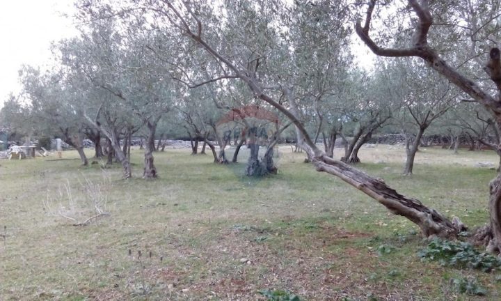 Terrain À vendre - Primorsko-goranska Krk - foto 3/5