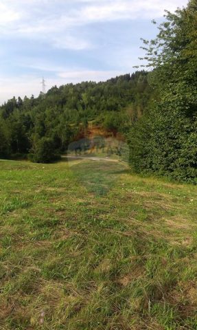 Grundstück Zu verkaufen - Primorsko-goranska Delnice - foto 2/4