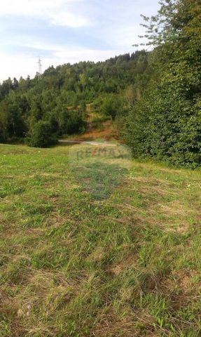 Grundstück Zu verkaufen - Primorsko-goranska Delnice - foto 3/4