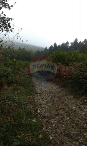 Parcela na predaj 11585 m² – Blaževci