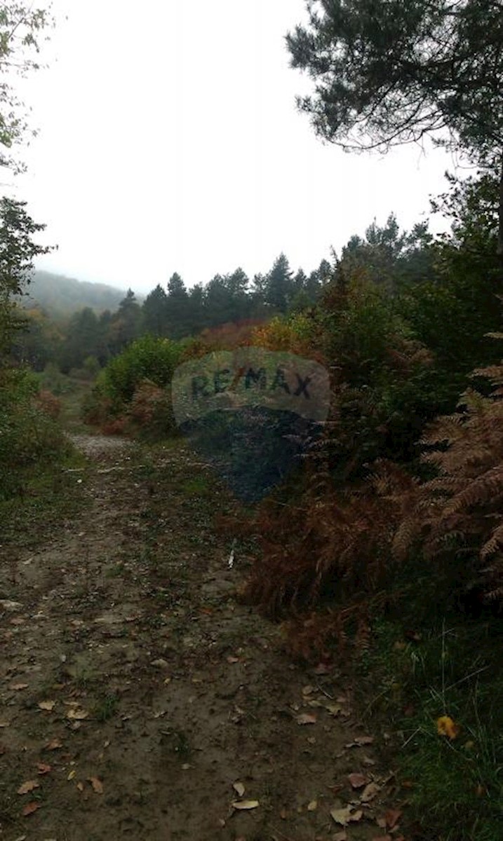 Terreno In vendita - PRIMORSKO-GORANSKA  VRBOVSKO 