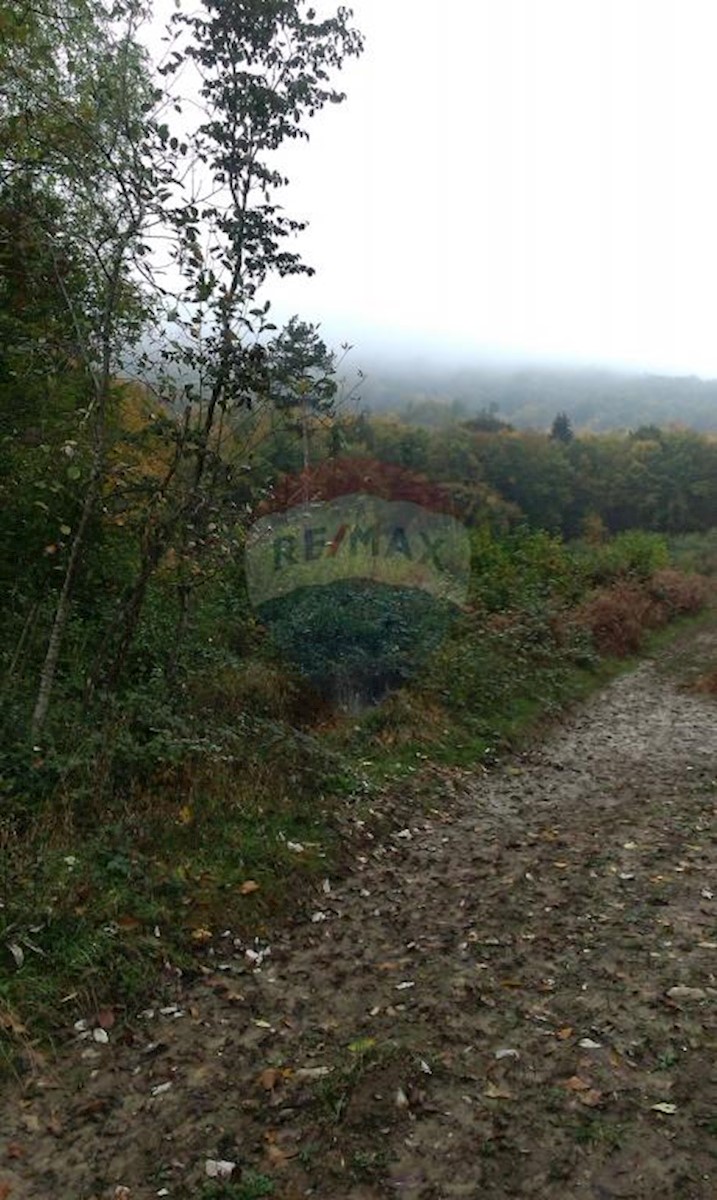 Terreno In vendita - PRIMORSKO-GORANSKA  VRBOVSKO 