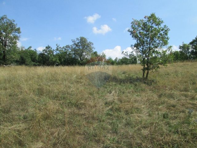 Działka Na sprzedaż - Primorsko-goranska Viškovo - foto 4/10