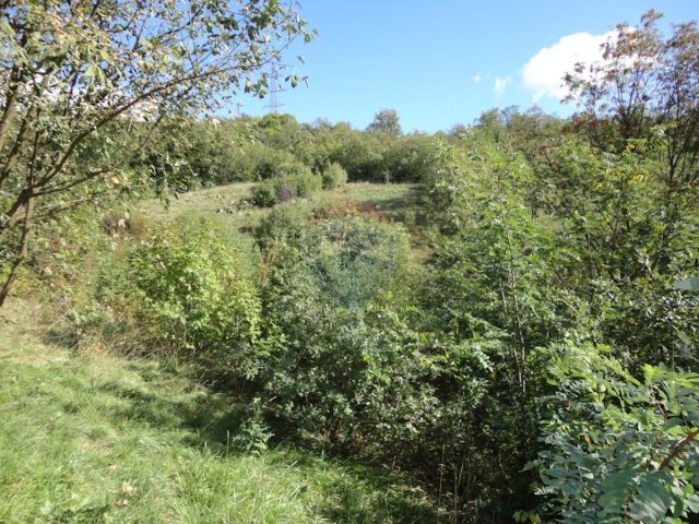 Land for sale 2900 m² – Rijeka