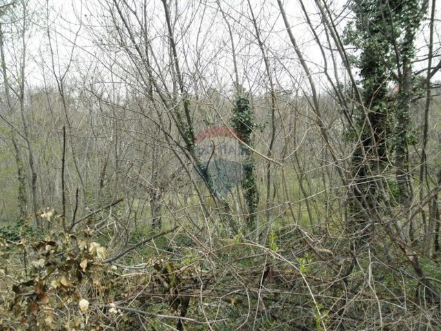 Land for sale 6800 m² – Kozala