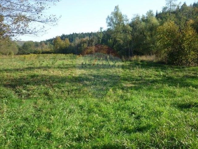 Land for sale 49300 m² – Gomirje
