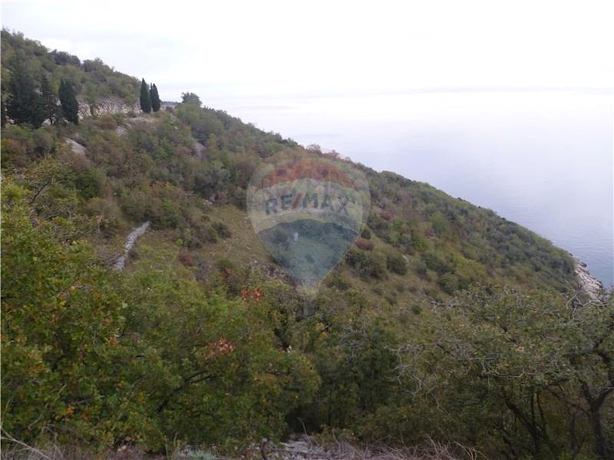 Zemljište Na prodaju GOLOVIK