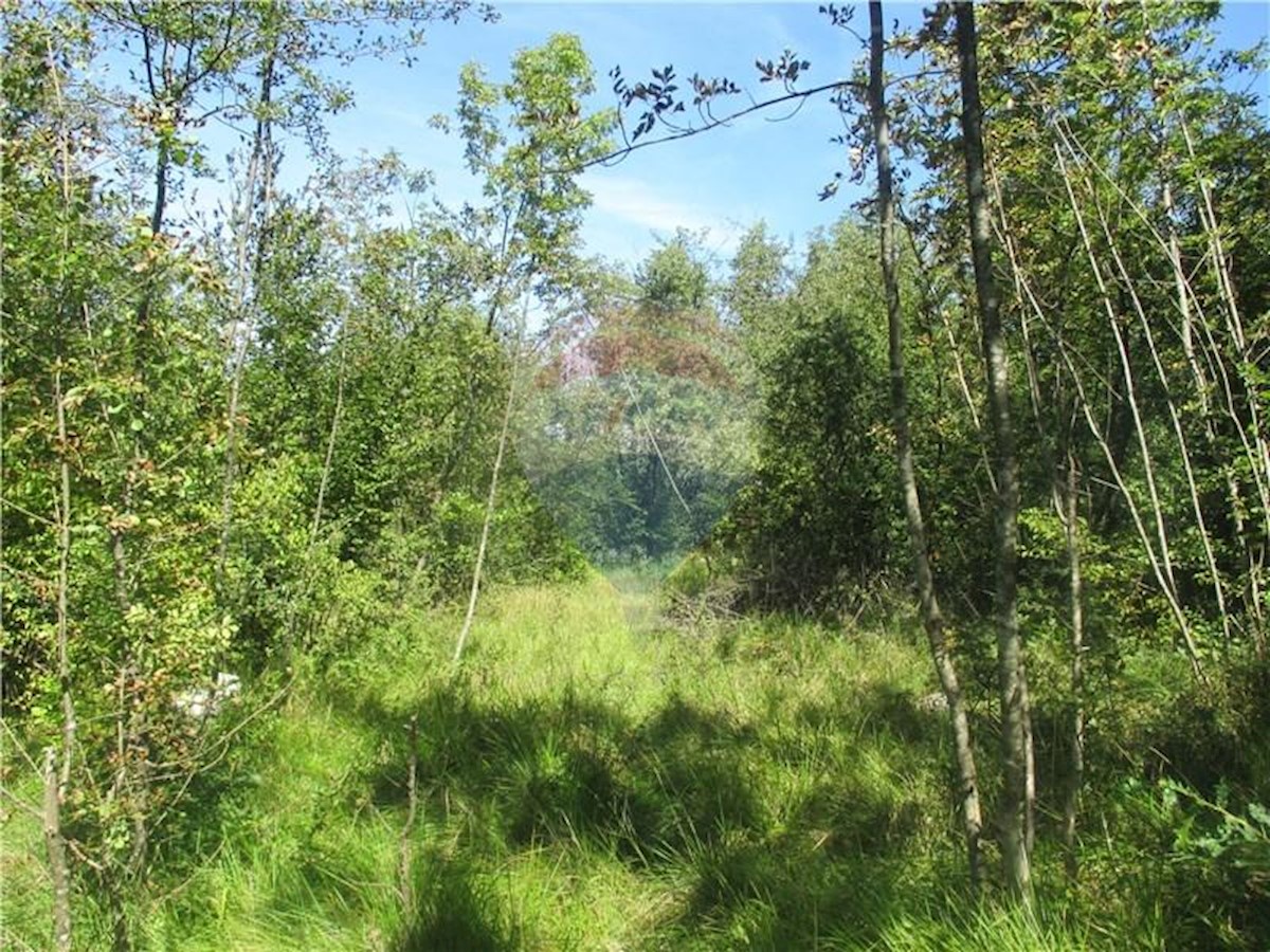 Land For sale - PRIMORSKO-GORANSKA  MATULJI 