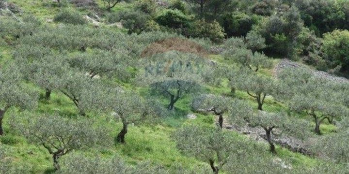 Land for sale 13000 m² – Krk