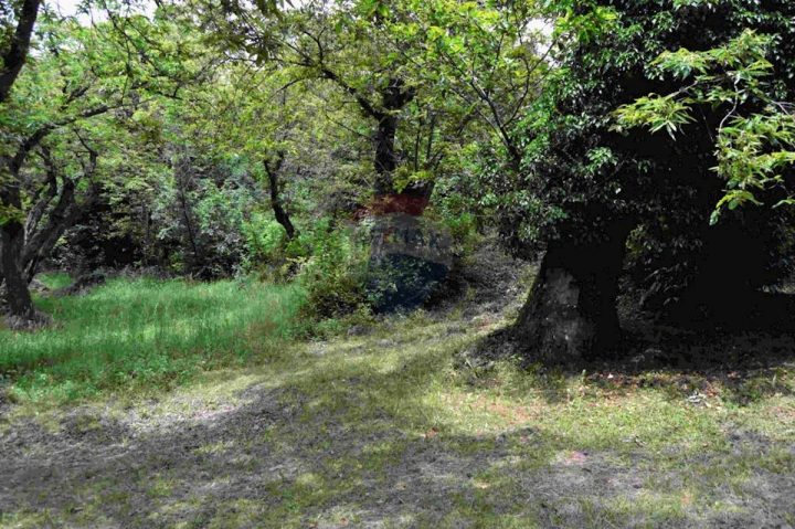 Terrain à vendre 2740 m² – Dobreć