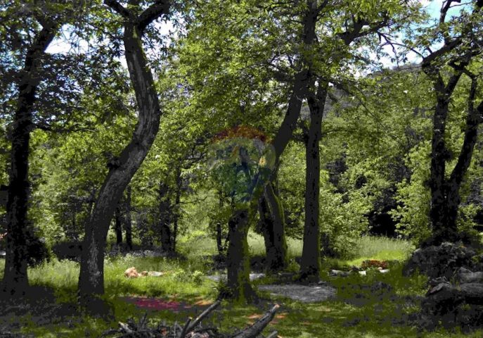 Land For sale - Primorsko-goranska Opatija - foto 2/3