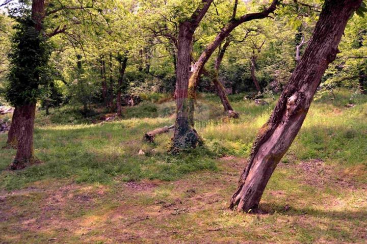 Land For sale - Primorsko-goranska Opatija - foto 3/3