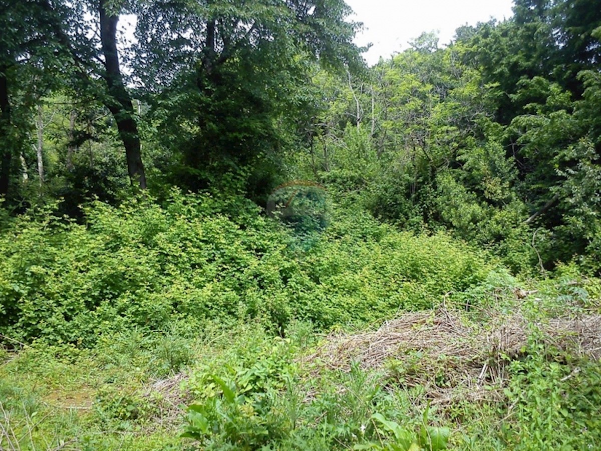 Parcela Naprodaj - PRIMORSKO-GORANSKA  Lovran
