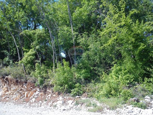Terrain à vendre 3194 m² – Matulji