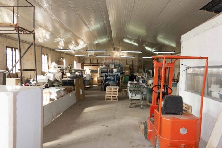 Lokal użytkowy na sprzedaż 580 m² – Galižana
