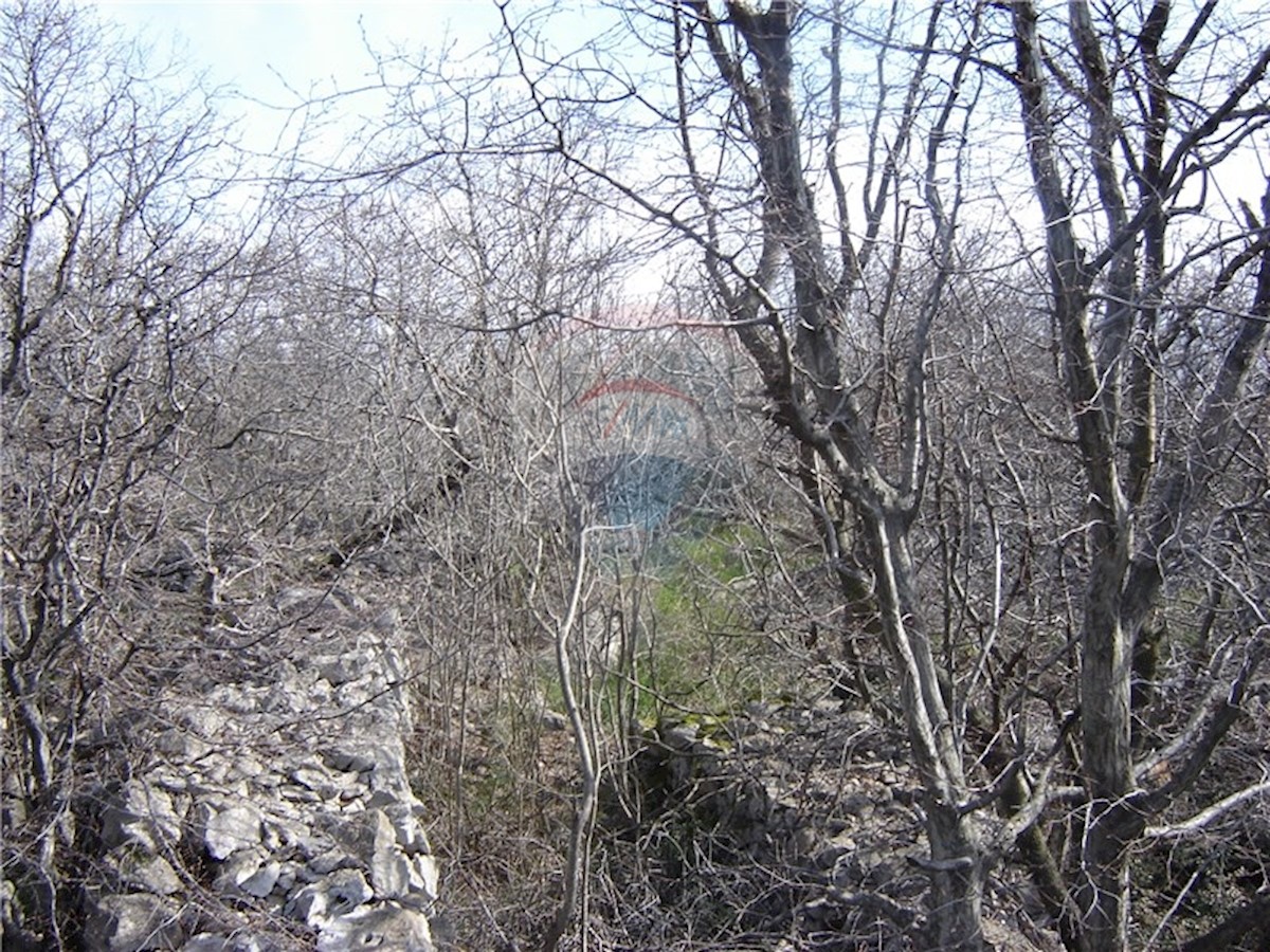 Land For sale KOSTRENA SVETA LUCIJA