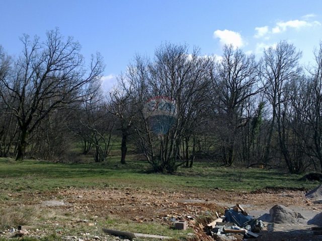 Pozemek na prodej 5371 m² – Mavrinci